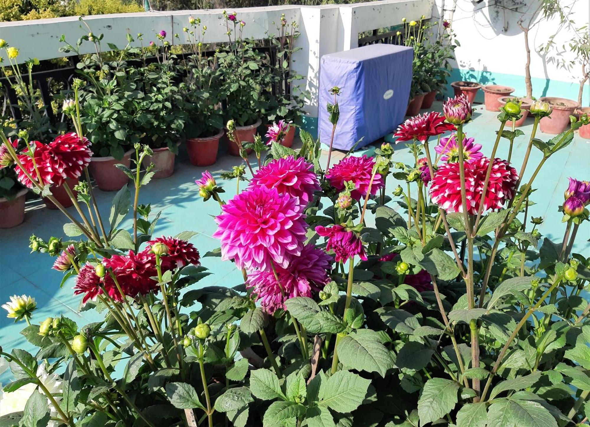 Fully Furnished Ish, Atithya Homestay With Various Amenities And Free Services In Lucknow, India Eksteriør billede